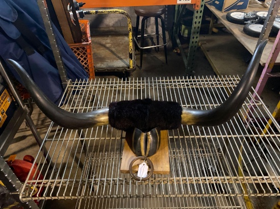Bull Horns and Hooves approx 29 in across