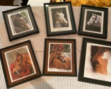 Lot of 6 Horse Pictures