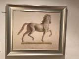 CAVALLO ETCHING 1812 II