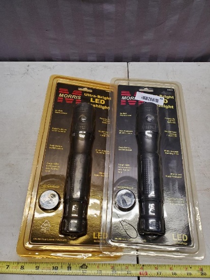 2- Unused LED flashlights