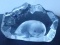 SIGNED Mats Jonasson Baby Seal Crystal Etched Paperweight Sculpture - Sweden