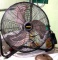 Stay Cool Like Stan with this Stanley Fan