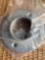 2 inch Floor Flange