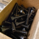 Metric Socket Cap Lot/ Black Alloy