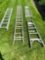 4 Ladders in Various Sizes