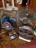 Everyone Could Use a Group of Fans!
