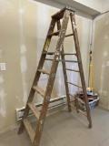 Painting Gear Including Ladder and Extension Pole