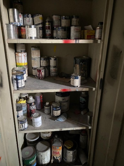 Contents of Paint Storage