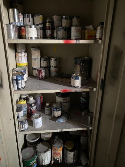 Contents of Paint Storage