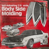 Body Side Molding (New Old Stock)