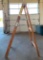 Davidson 6ft Wooden Ladder