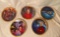 Group of Five Star Trek Collector's Plates