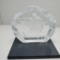 Glass Engraved Hockey Plaque on Stand