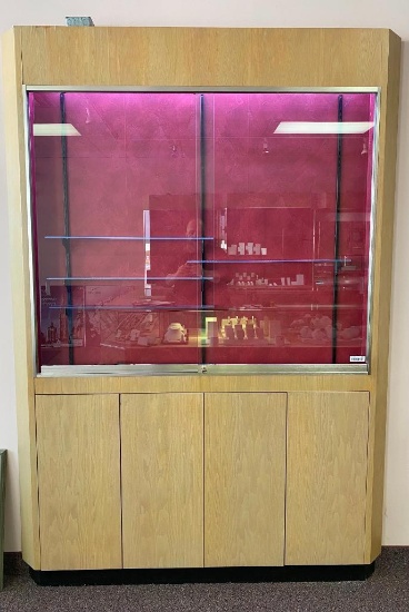 Shallow Tall Lighted Display Case