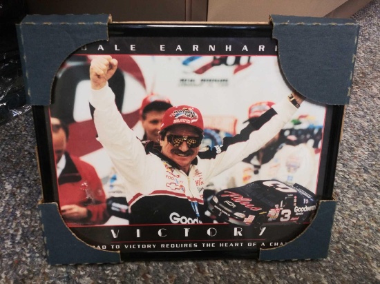 Dale Earnhardt Framed Picture