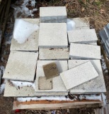 Pallet of Paver Stone