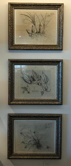 (6) Decorative Pictures with Beautiful Frames