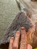 Light Taupe Plush Carpet