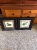 2 Framed Frog Pictures