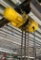 Budgit 1-Ton Electric Chain Hoist