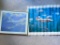 Framed United Airlines Plane Print & Capital Airlines Poster