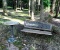 Park Bench and Industrial Look Bird Bath