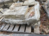 Pallet of Paver Stone