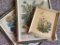Framed Botanical Floral Prints