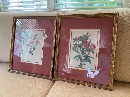 Matching Pair Framed Botanical Prints - Silk Matting
