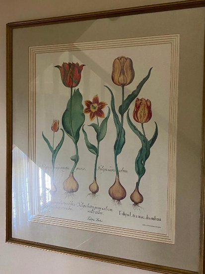 Decorator Quality Professionally Framed Large Botanical Print Tulips from...Aaron Ashley