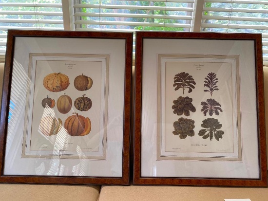 Matching Pair of...Mario Buatta Botanical Prints - Professionally Framed