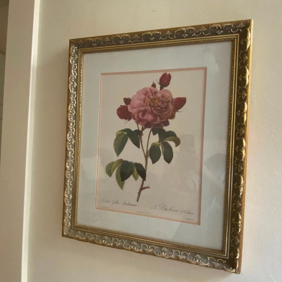 Beautifully Framed, Silk Matted Botanical Print