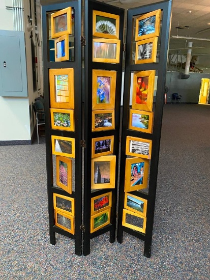 Folding Photo Room Divider