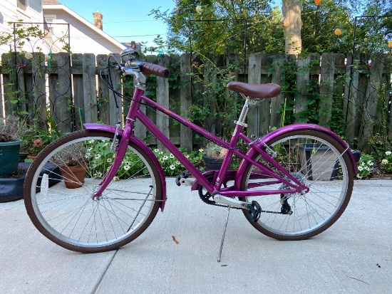 Girl's Schwinn Mifflin Bicycle Pink Bike