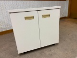 Metal Office Cabinet on Wheels