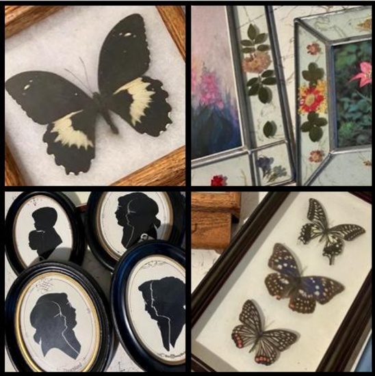 Vintage Butterfly Taxidermy Butterflies and...1970's Walt Disney World Art Work Shadow Portraits