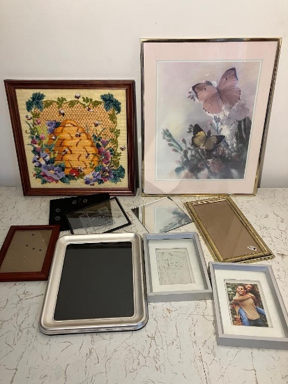 Bees and Butterflies and Frames