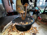 Mushroom Fountain