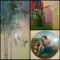 Custom Framed Rare Art - David Lee- Evening Flight, Carol Auer- April Flowers,...Raphael- Alba Madon
