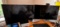 Dell Dual Monitor System with Stands and Inset Speakers