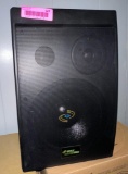 (1) Pyle Dryver Pro Speaker