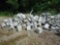 Approx 100 Counterweight Blocks-See Pics
