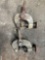 (2) 6 ton clamps