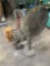 Miscellaneous Warehouse Equipment