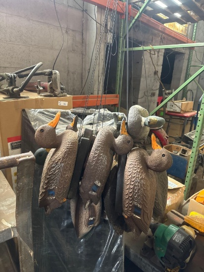 Lot of (12) Assorted Brands Duck Decoys