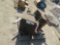(2) chairs