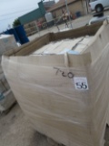 Pallet- blue freezer blocks