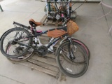 (2) Townie bikes-1 girls & 1 boys
