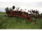 Case-IH #5700 24’ Chisel Plow w/Wide Sweeps