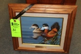 Mark Anderson Original - Ruddy Ducks